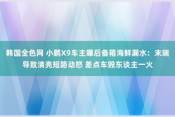 韩国全色网 小鹏X9车主曝后备箱海鲜漏水：末端导致清亮短路动怒 差点车毁东谈主一火