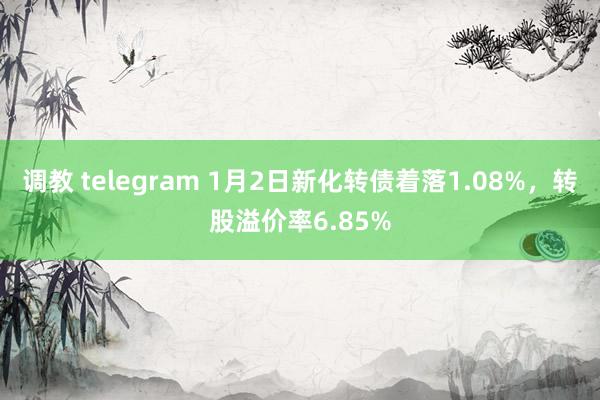 调教 telegram 1月2日新化转债着落1.08%，转股溢价率6.85%