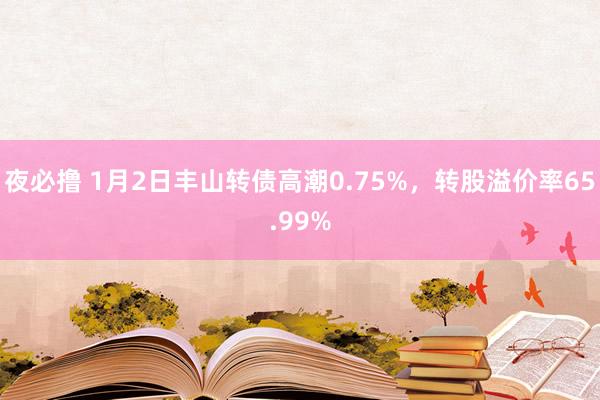 夜必撸 1月2日丰山转债高潮0.75%，转股溢价率65.99%