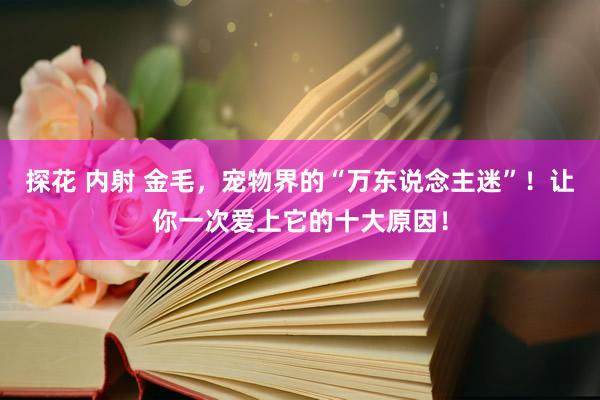 探花 内射 金毛，宠物界的“万东说念主迷”！让你一次爱上它的十大原因！