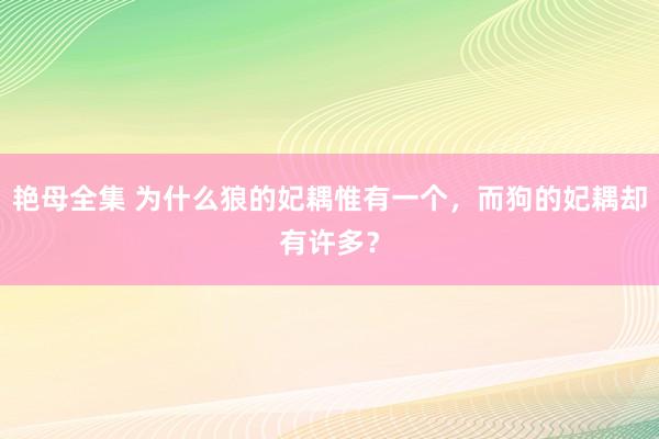 艳母全集 为什么狼的妃耦惟有一个，而狗的妃耦却有许多？