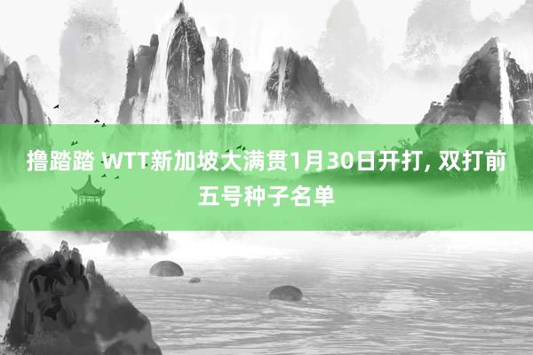 撸踏踏 WTT新加坡大满贯1月30日开打， 双打前五号种子名单