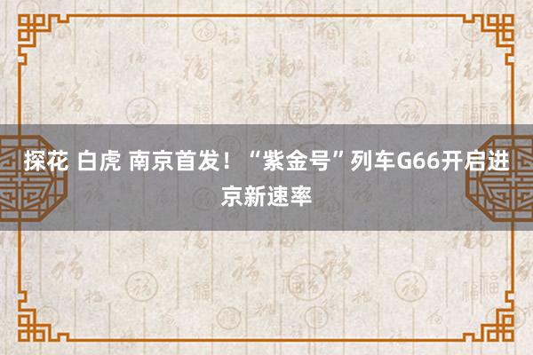 探花 白虎 南京首发！“紫金号”列车G66开启进京新速率