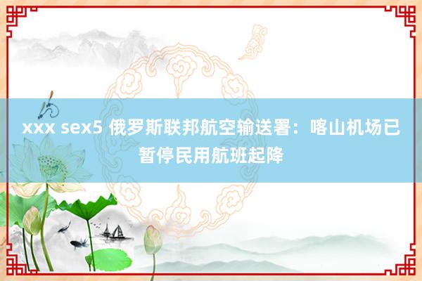 xxx sex5 俄罗斯联邦航空输送署：喀山机场已暂停民用航班起降