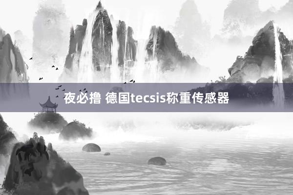 夜必撸 德国tecsis称重传感器