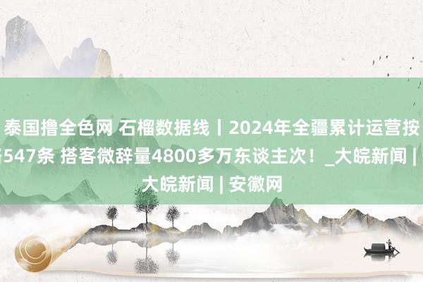 泰国撸全色网 石榴数据线丨2024年全疆累计运营按时航路547条 搭客微辞量4800多万东谈主次！_大皖新闻 | 安徽网