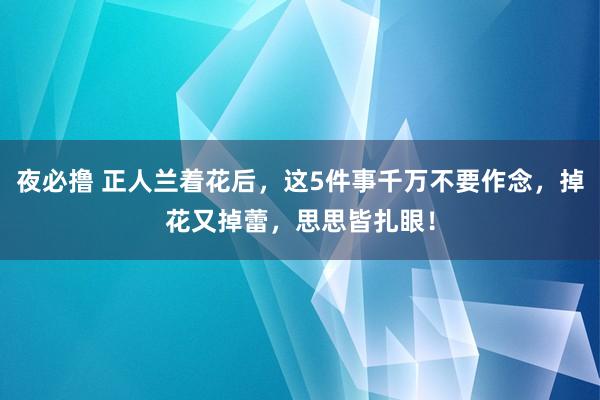 夜必撸 正人兰着花后，这5件事千万不要作念，掉花又掉蕾，思思皆扎眼！