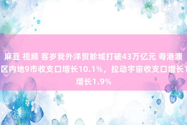 麻豆 视频 客岁我外洋贸畛域打破43万亿元 粤港澳大湾区内地9市收支口增长10.1%，拉动宇宙收支口增长1.9%