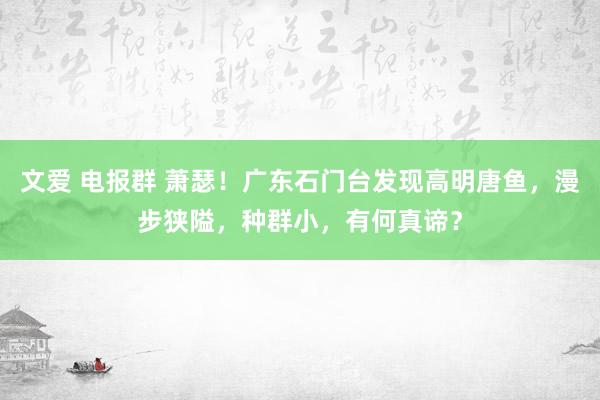 文爱 电报群 萧瑟！广东石门台发现高明唐鱼，漫步狭隘，种群小，有何真谛？